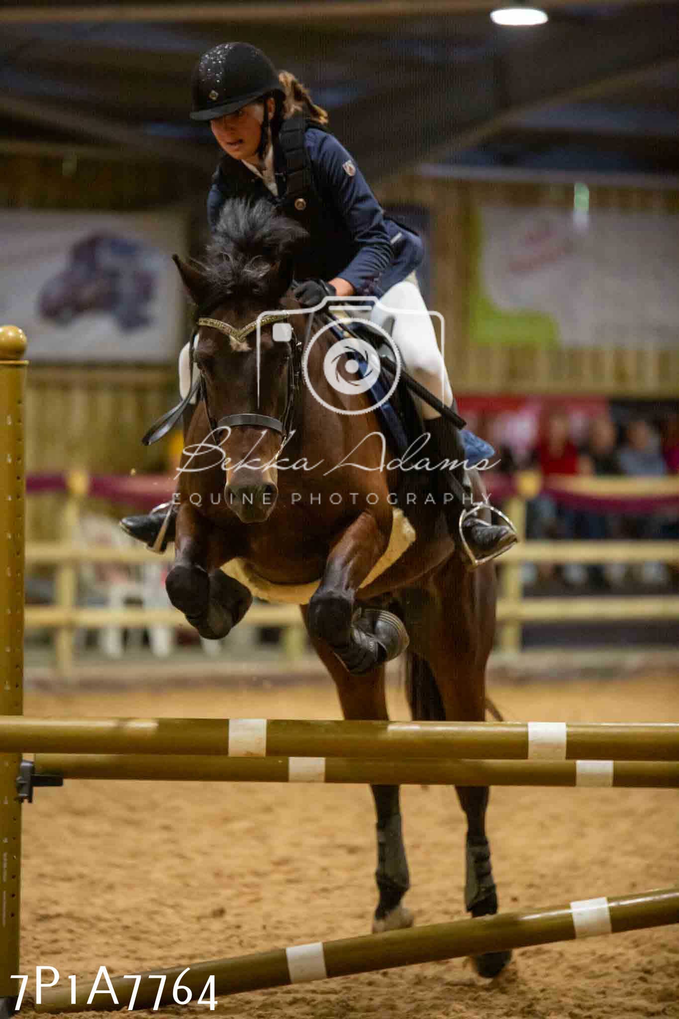 JHOYS 2023 - 17th September - Show Jumping Pt1