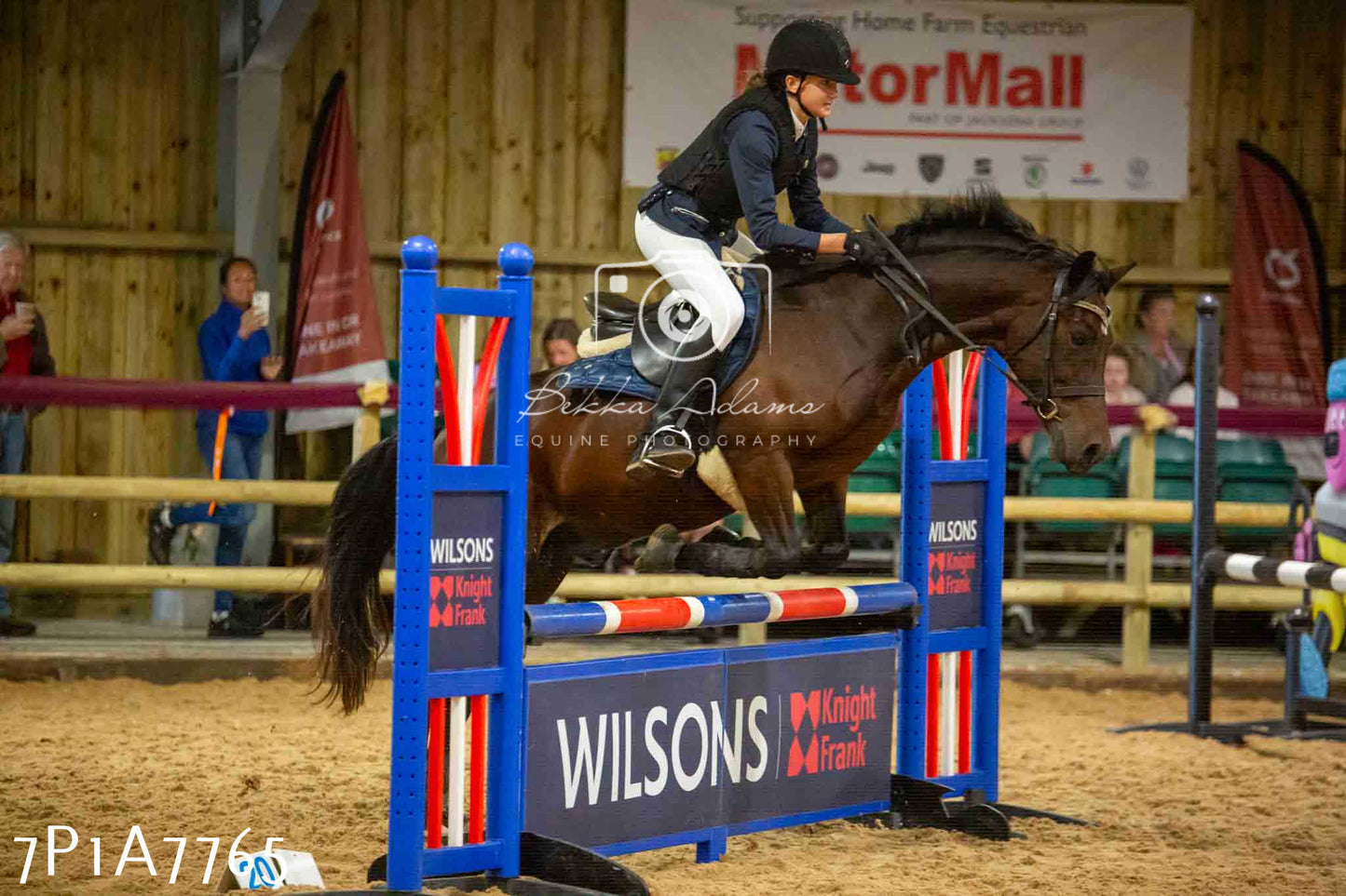 JHOYS 2023 - 17th September - Show Jumping Pt1