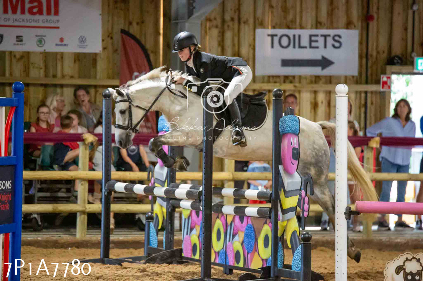 JHOYS 2023 - 17th September - Show Jumping Pt1