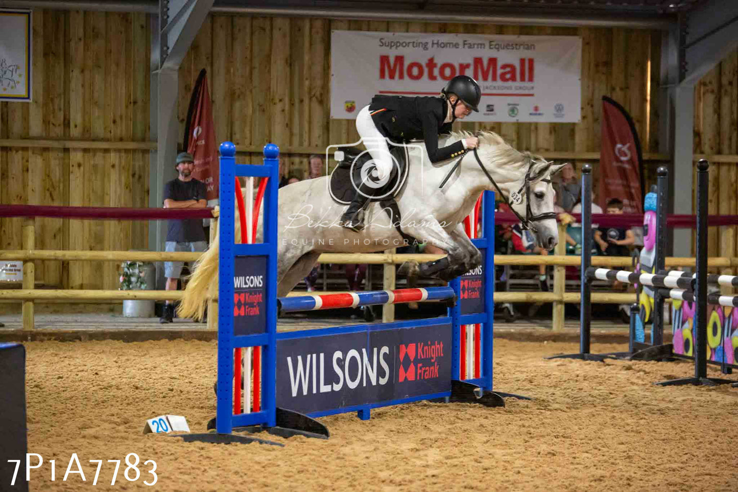 JHOYS 2023 - 17th September - Show Jumping Pt1