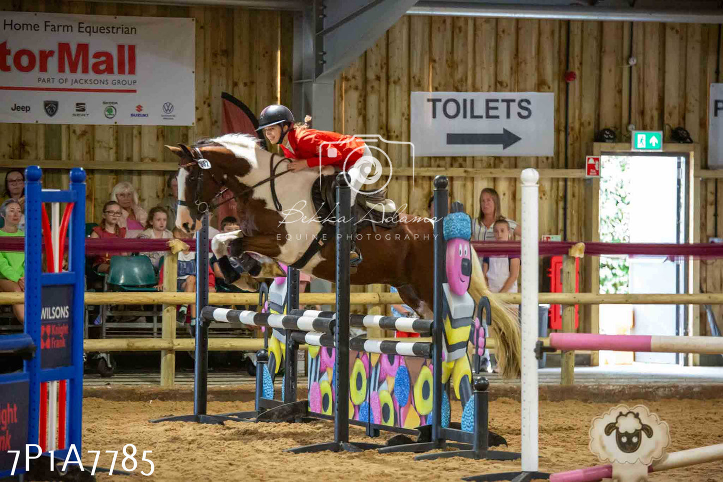 JHOYS 2023 - 17th September - Show Jumping Pt1