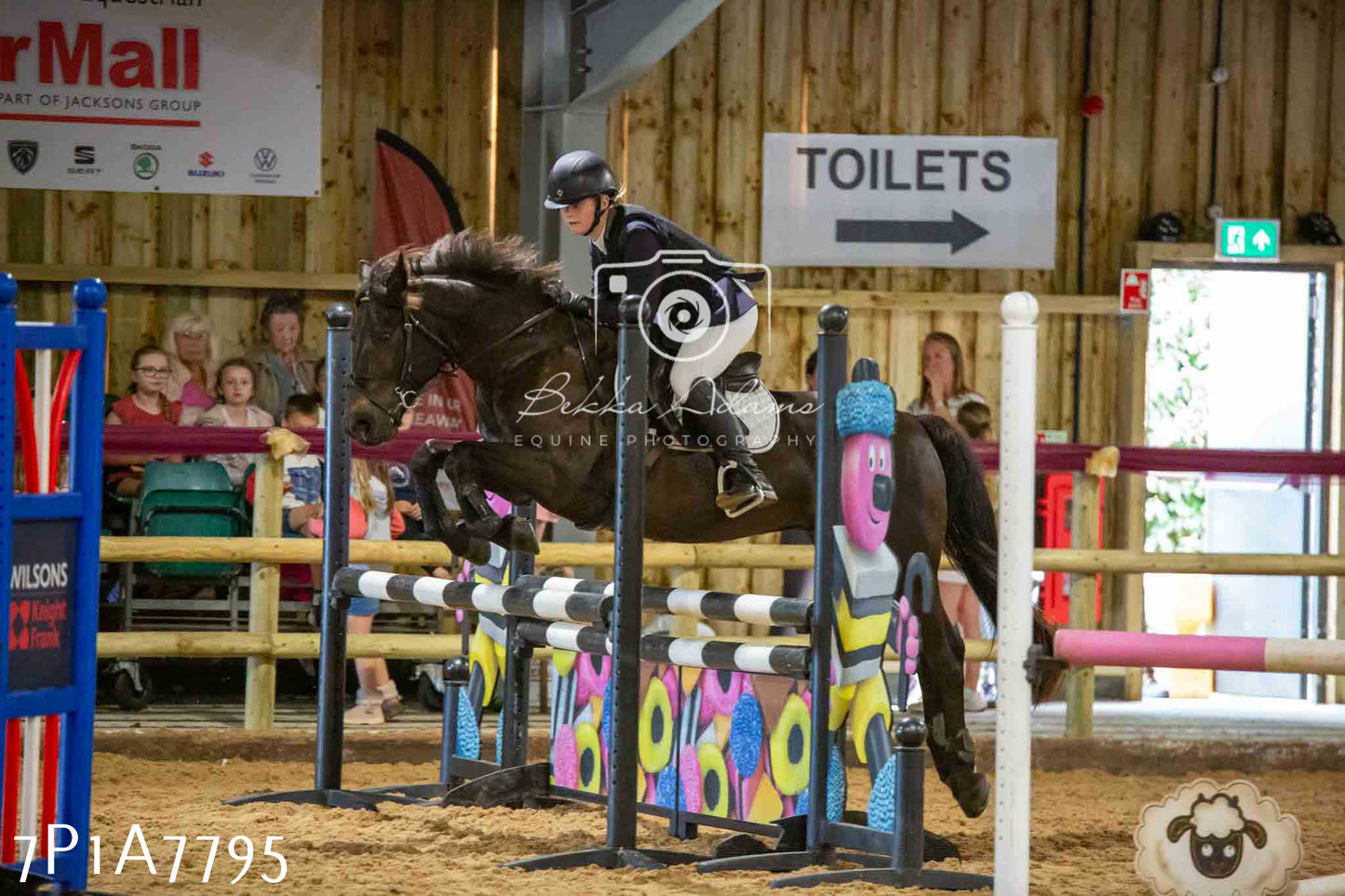JHOYS 2023 - 17th September - Show Jumping Pt1