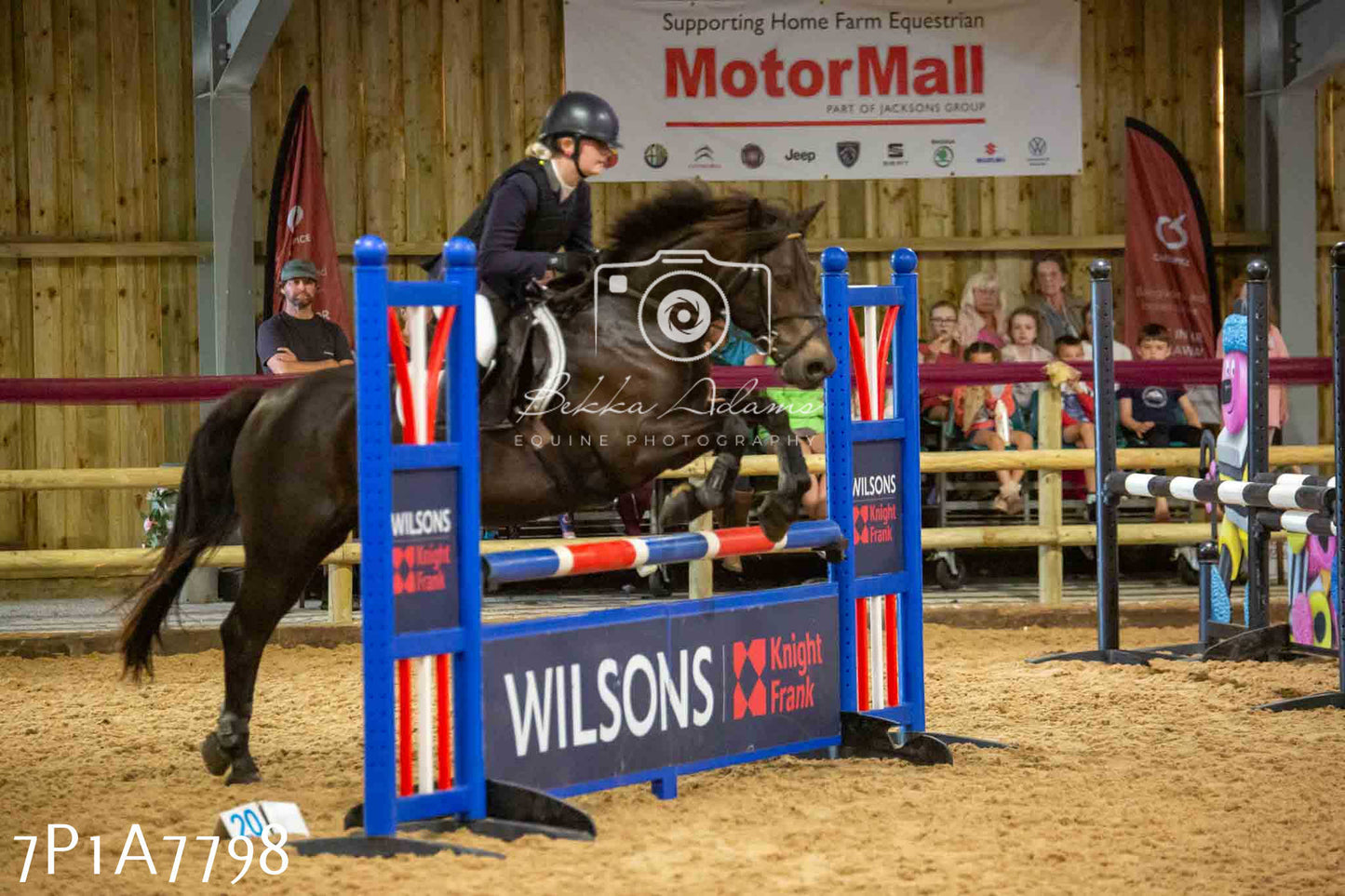 JHOYS 2023 - 17th September - Show Jumping Pt1