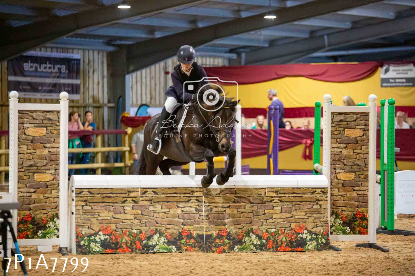 JHOYS 2023 - 17th September - Show Jumping Pt1
