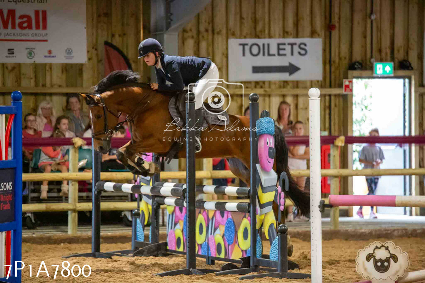 JHOYS 2023 - 17th September - Show Jumping Pt1