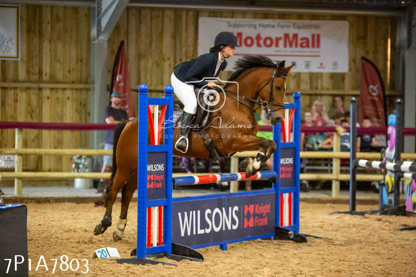 JHOYS 2023 - 17th September - Show Jumping Pt1