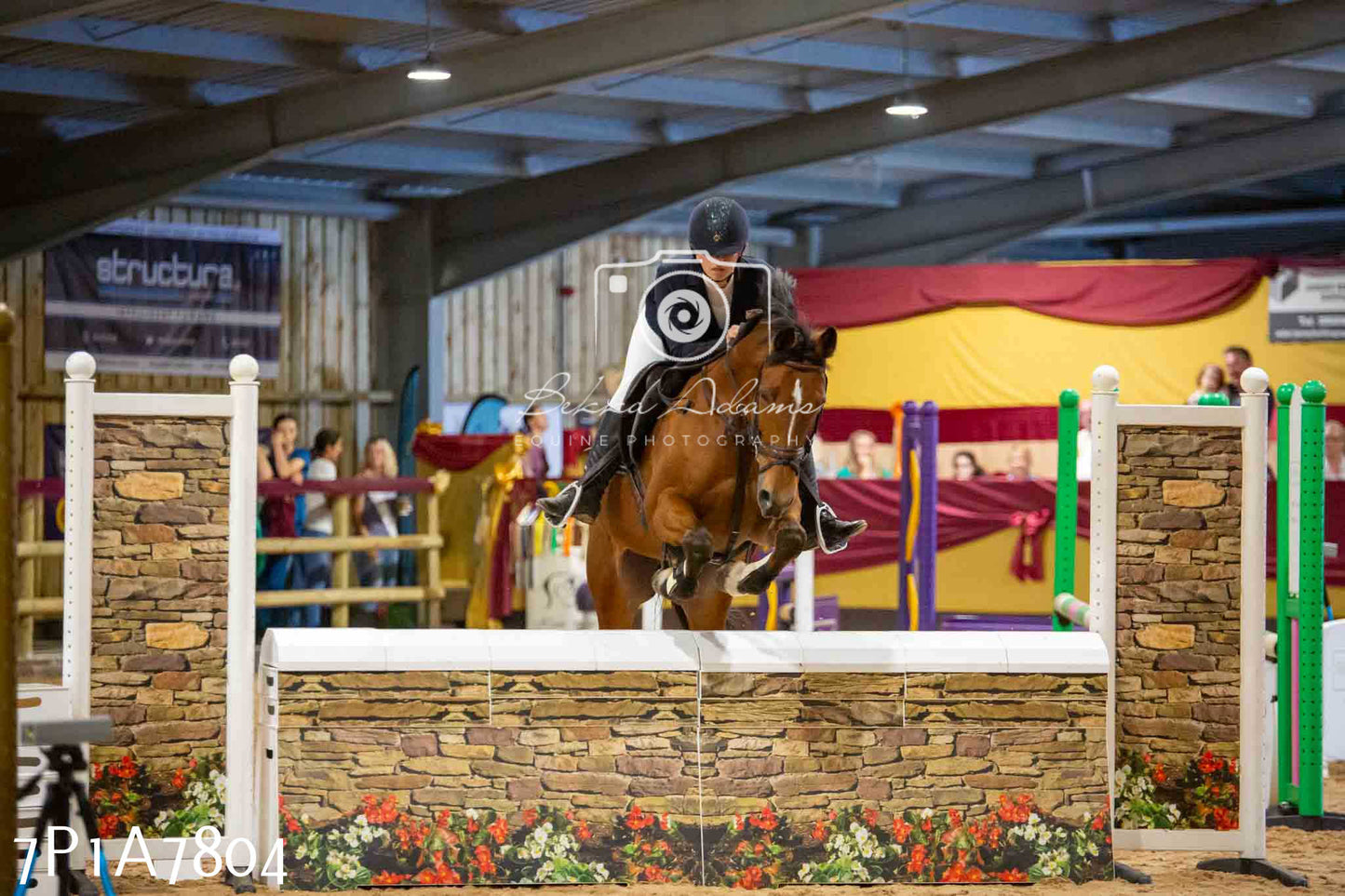 JHOYS 2023 - 17th September - Show Jumping Pt1