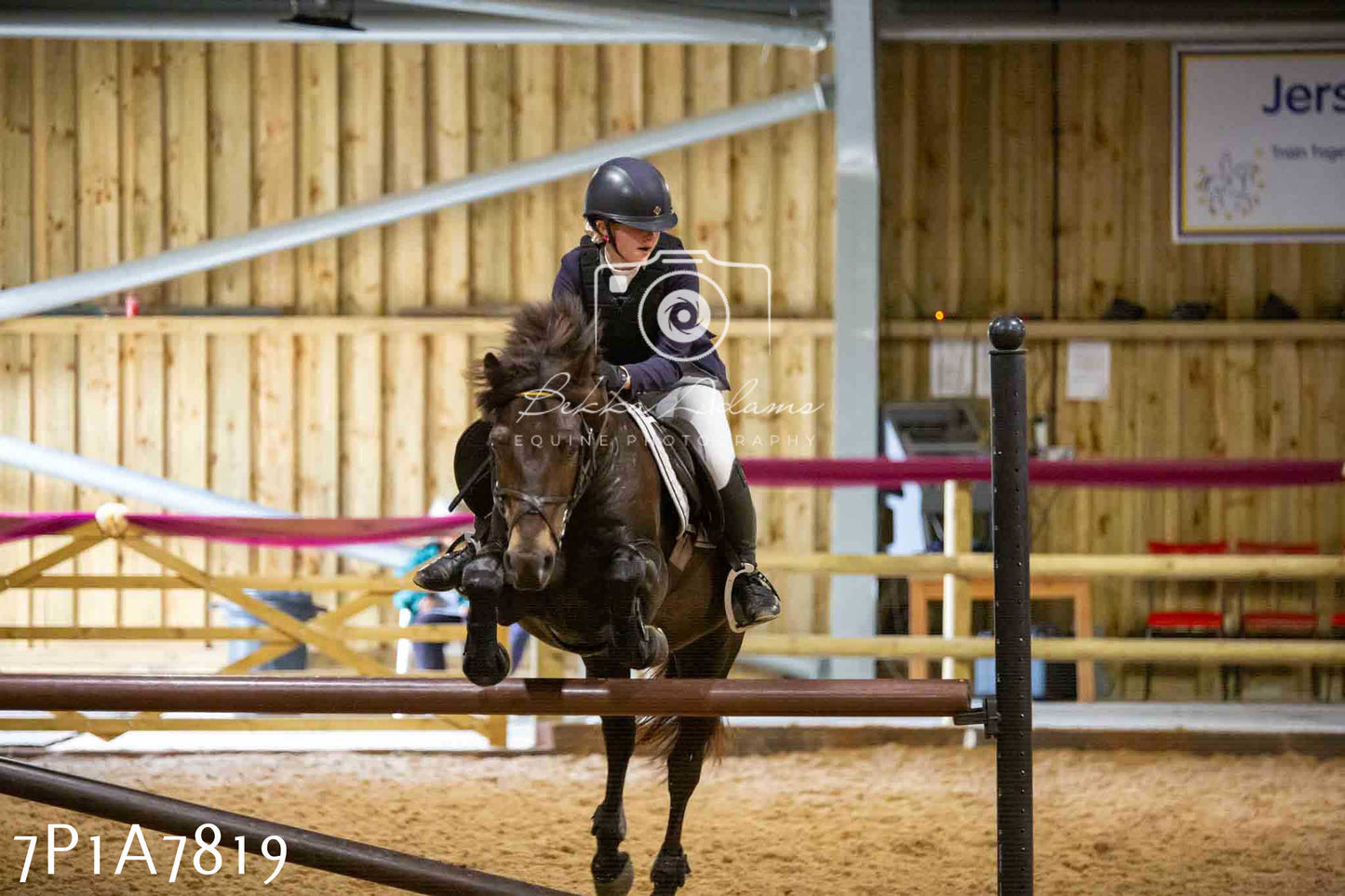 JHOYS 2023 - 17th September - Show Jumping Pt1