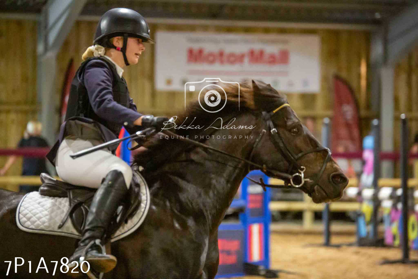 JHOYS 2023 - 17th September - Show Jumping Pt1