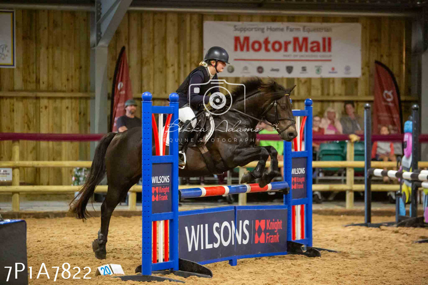 JHOYS 2023 - 17th September - Show Jumping Pt1