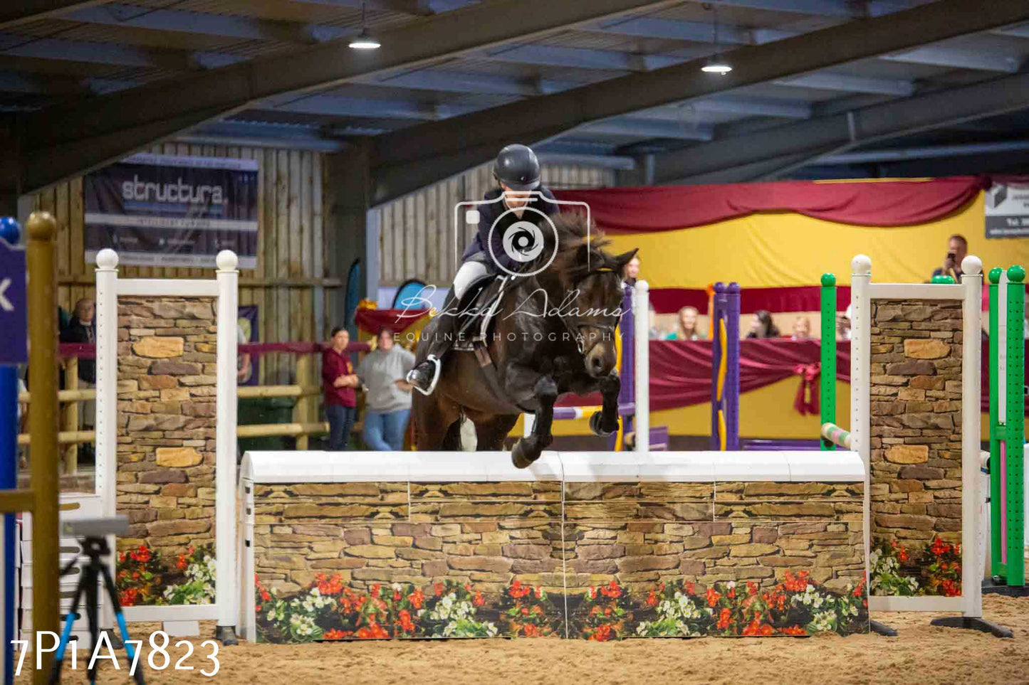 JHOYS 2023 - 17th September - Show Jumping Pt1