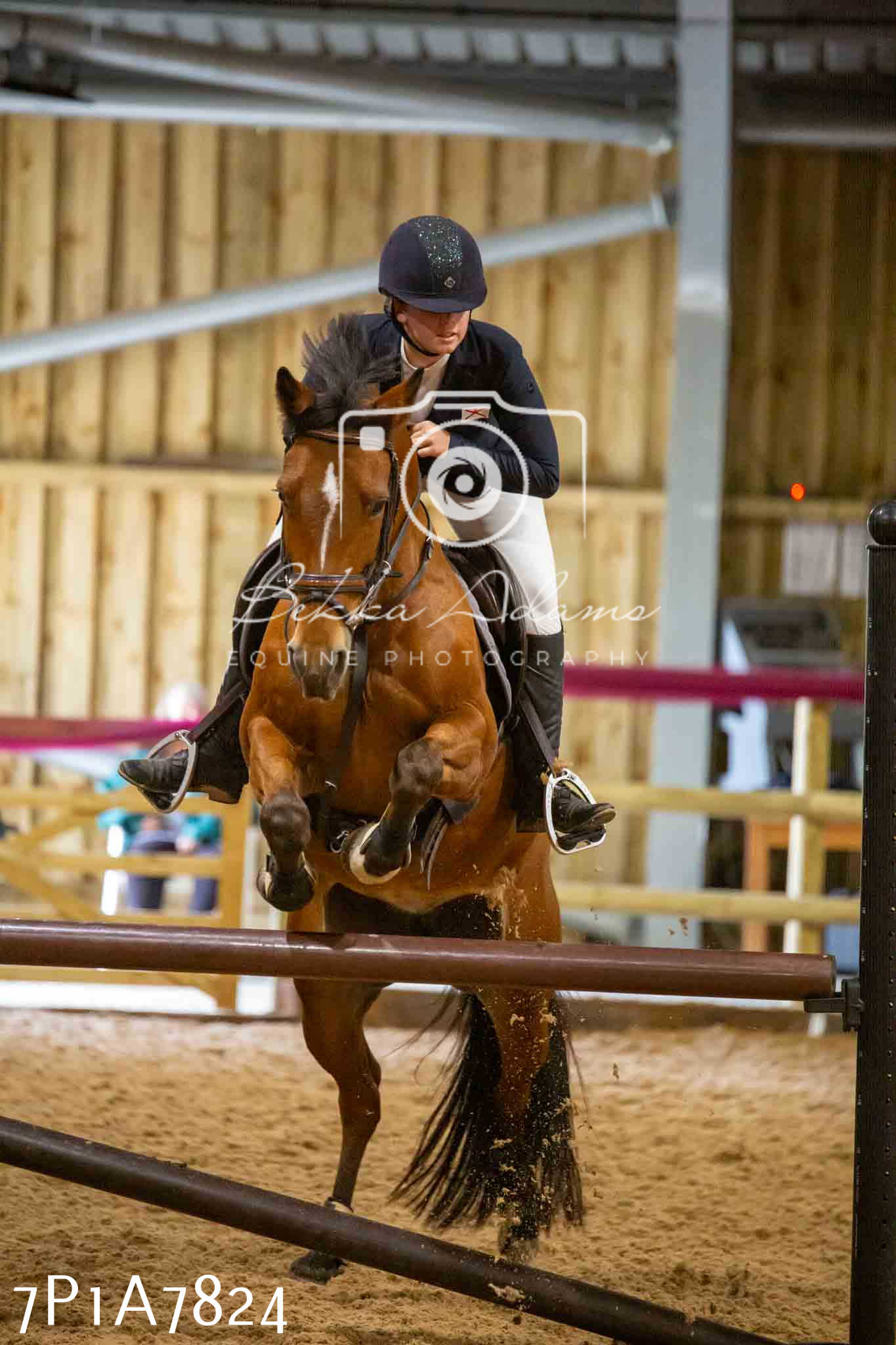 JHOYS 2023 - 17th September - Show Jumping Pt1