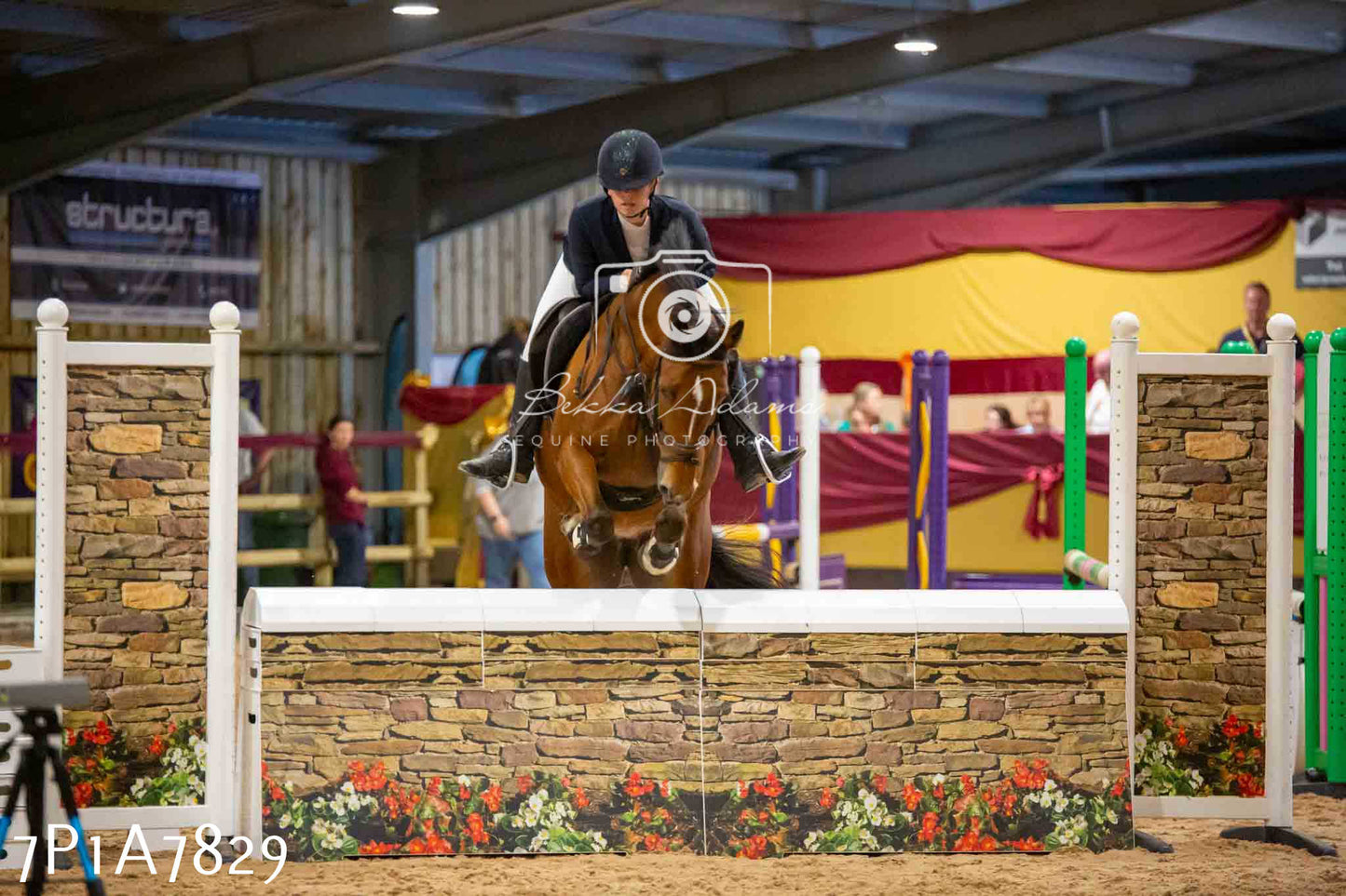 JHOYS 2023 - 17th September - Show Jumping Pt1