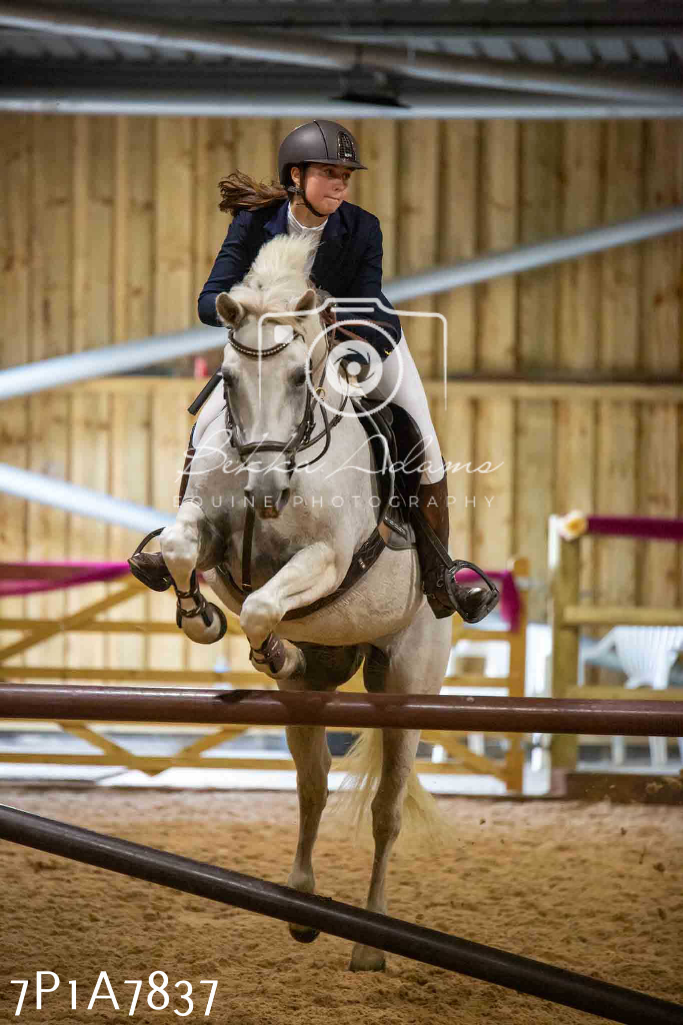 JHOYS 2023 - 17th September - Show Jumping Pt1