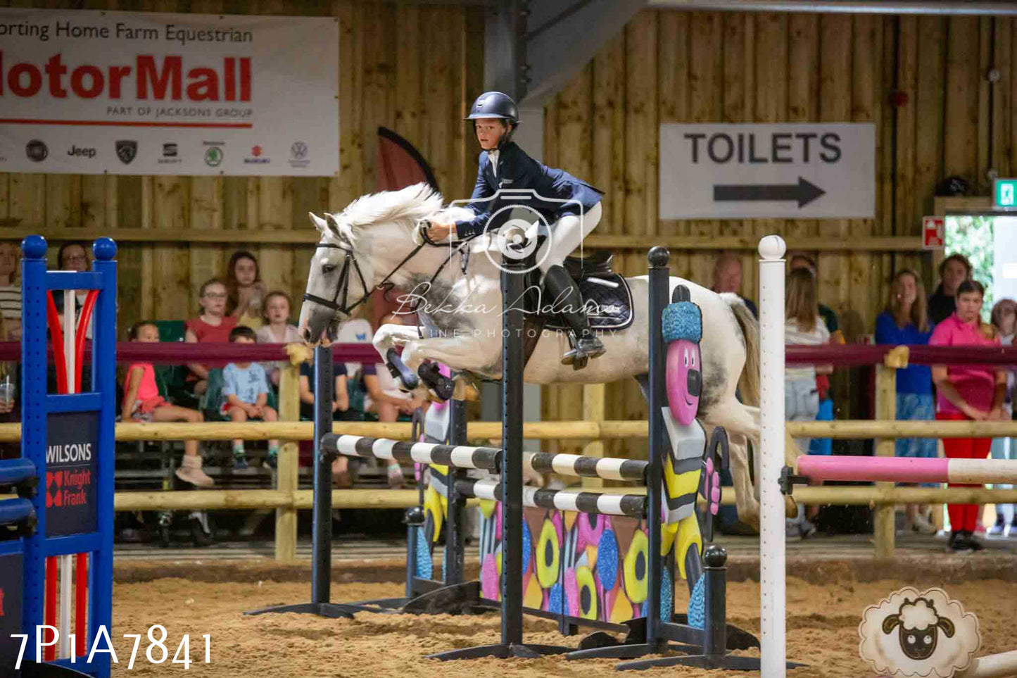 JHOYS 2023 - 17th September - Show Jumping Pt1