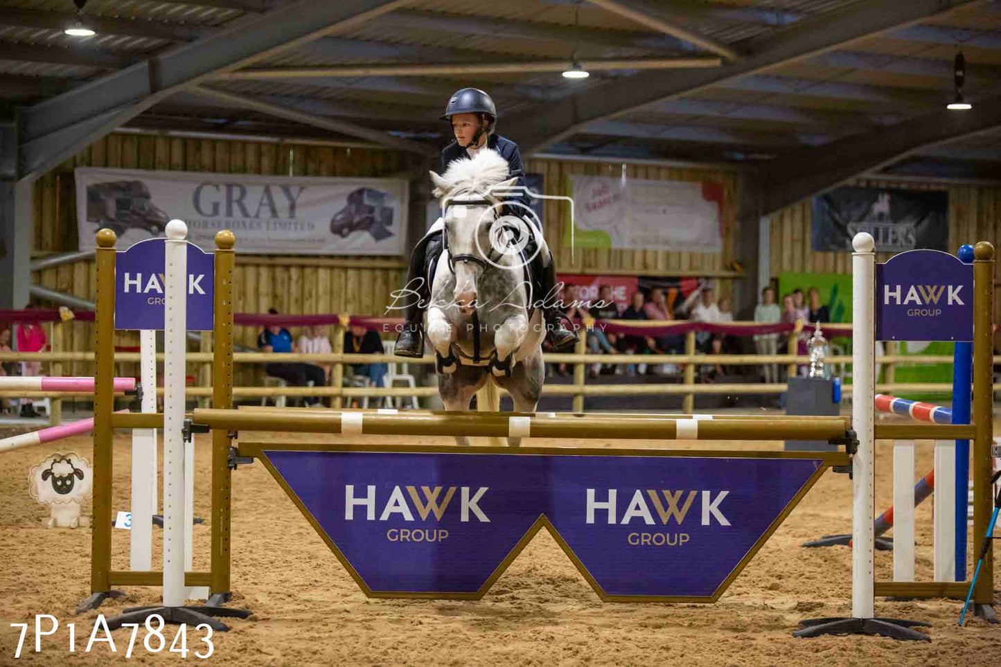 JHOYS 2023 - 17th September - Show Jumping Pt1