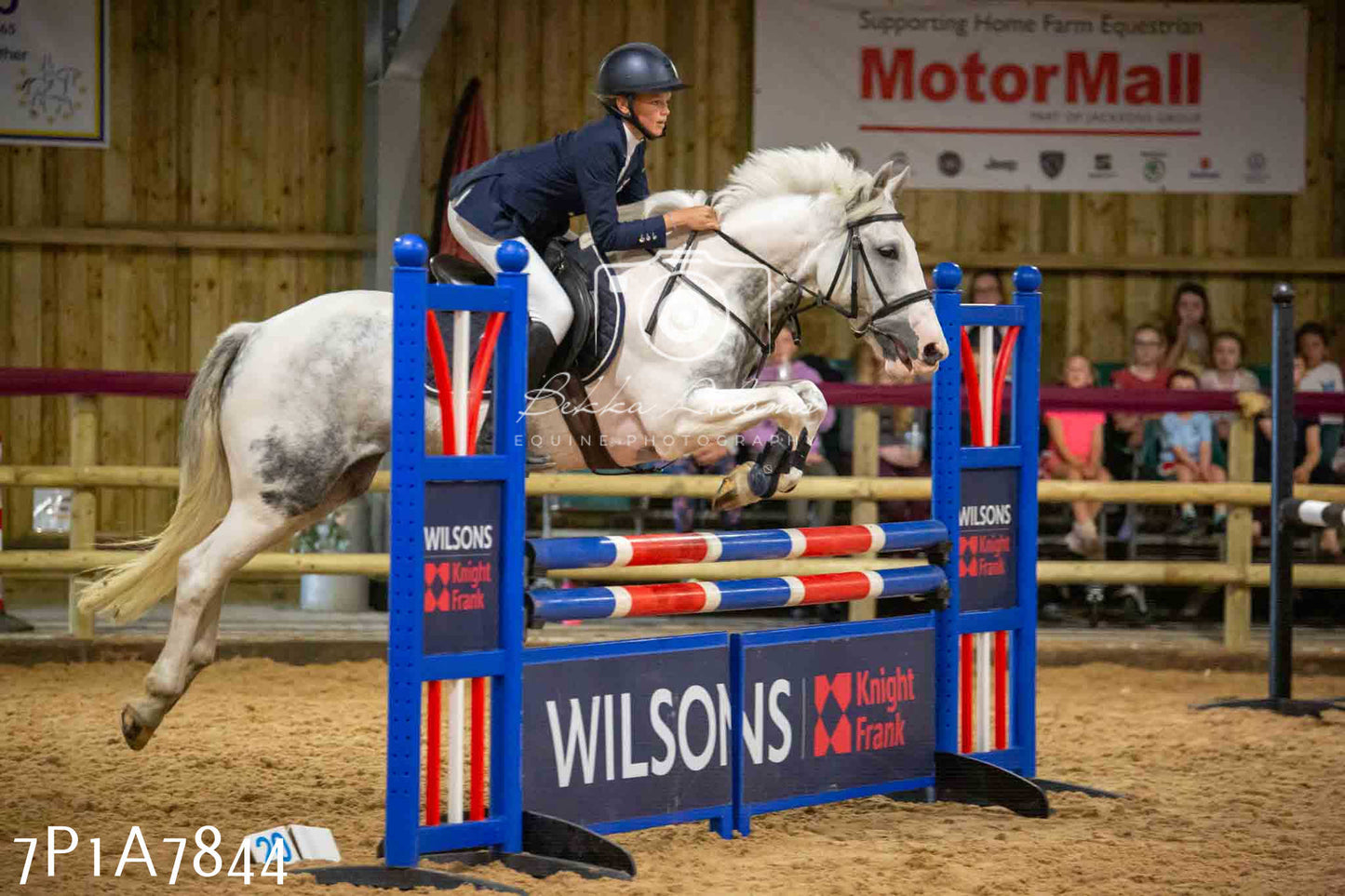 JHOYS 2023 - 17th September - Show Jumping Pt1