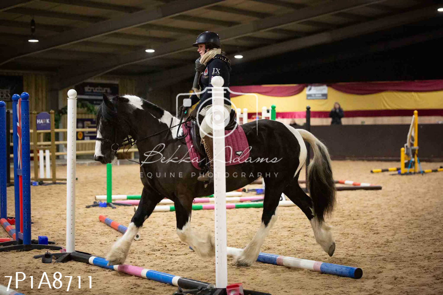 Home Farm Jumping 14th January 2024 - Seniors