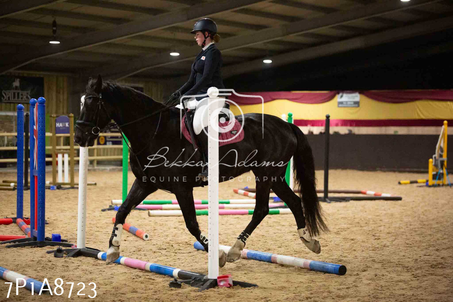 Home Farm Jumping 14th January 2024 - Seniors