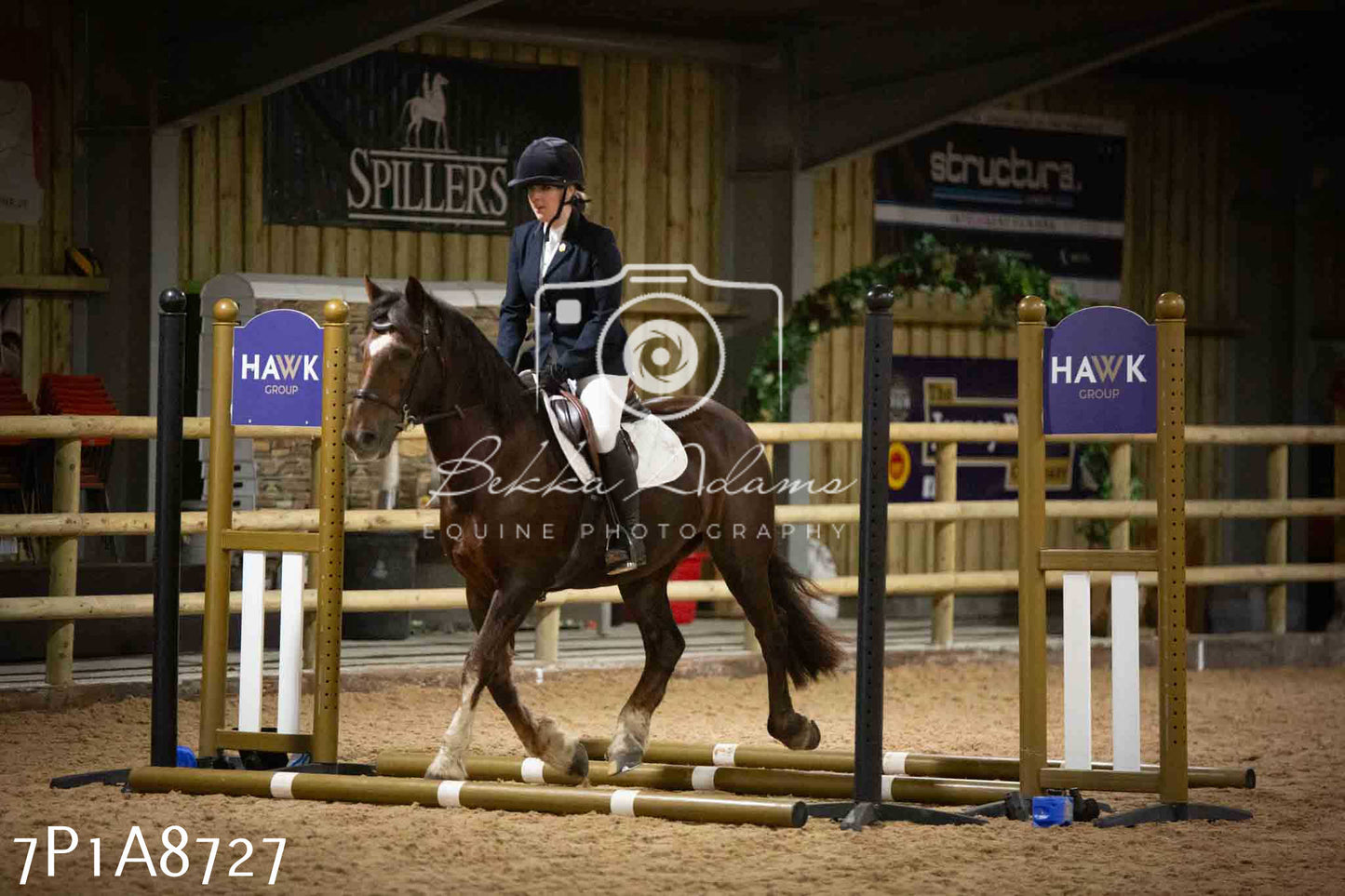 Home Farm Jumping 14th January 2024 - Seniors