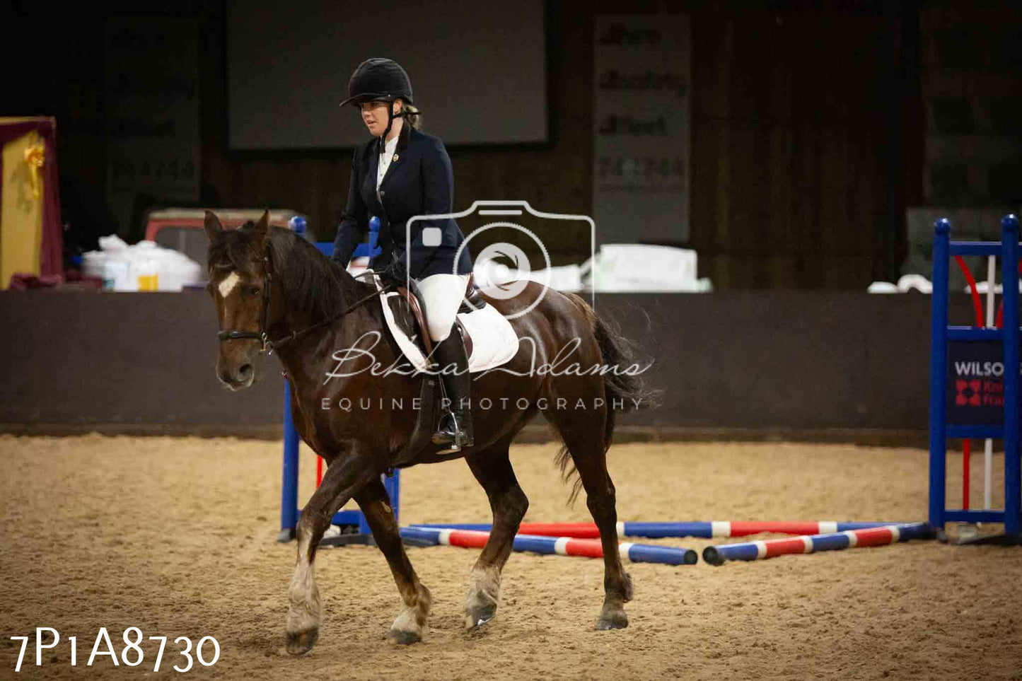Home Farm Jumping 14th January 2024 - Seniors