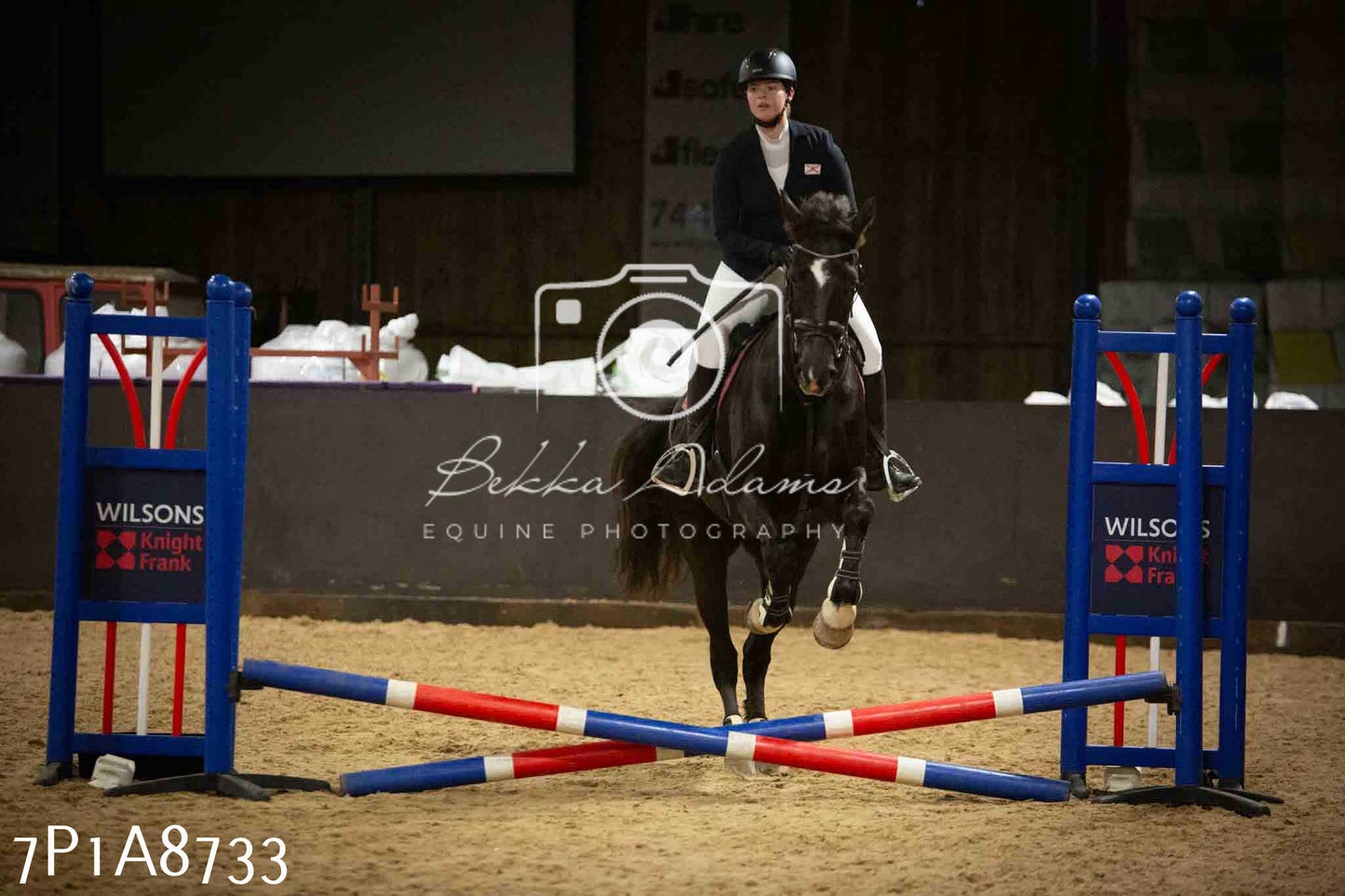 Home Farm Jumping 14th January 2024 - Seniors