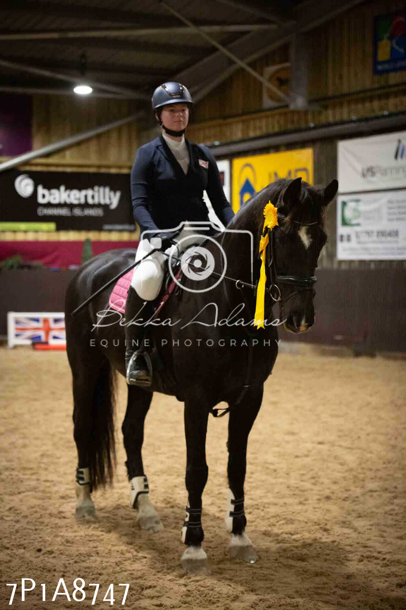 Home Farm Jumping 14th January 2024 - Seniors