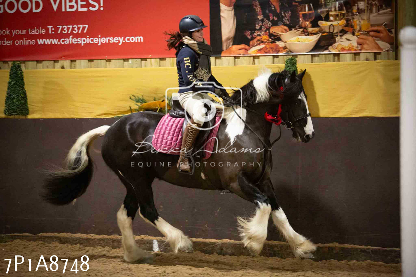 Home Farm Jumping 14th January 2024 - Seniors