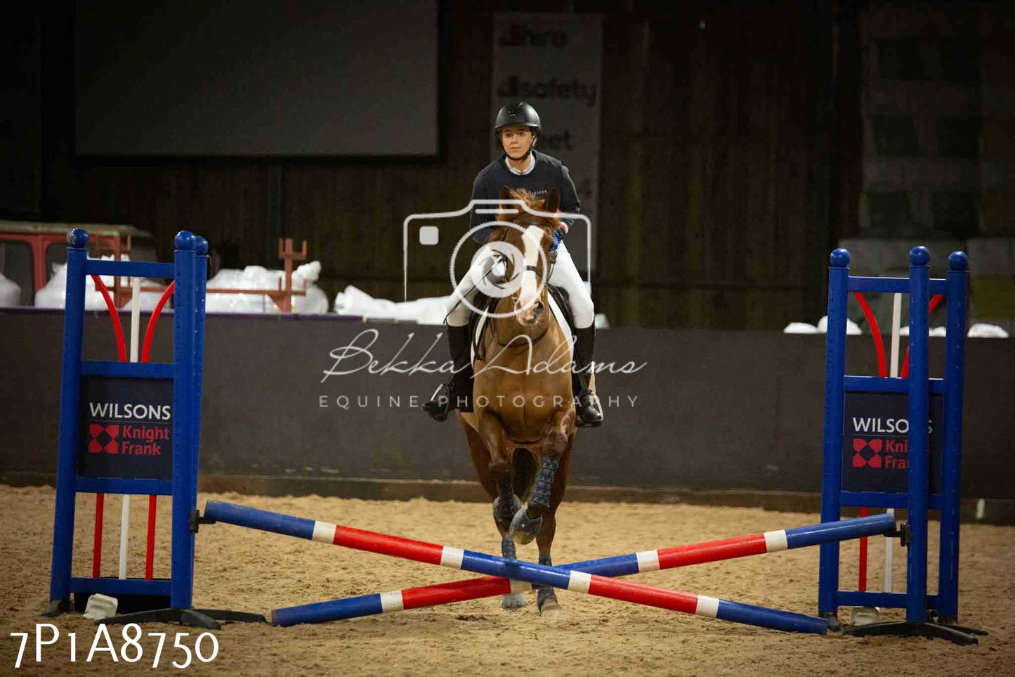 Home Farm Jumping 14th January 2024 - Seniors