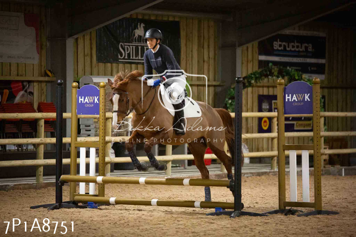 Home Farm Jumping 14th January 2024 - Seniors