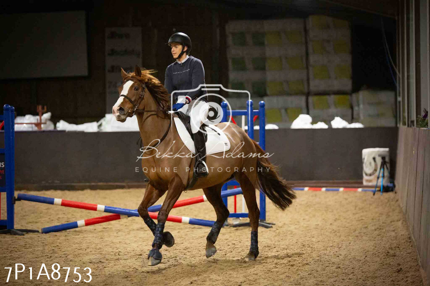 Home Farm Jumping 14th January 2024 - Seniors