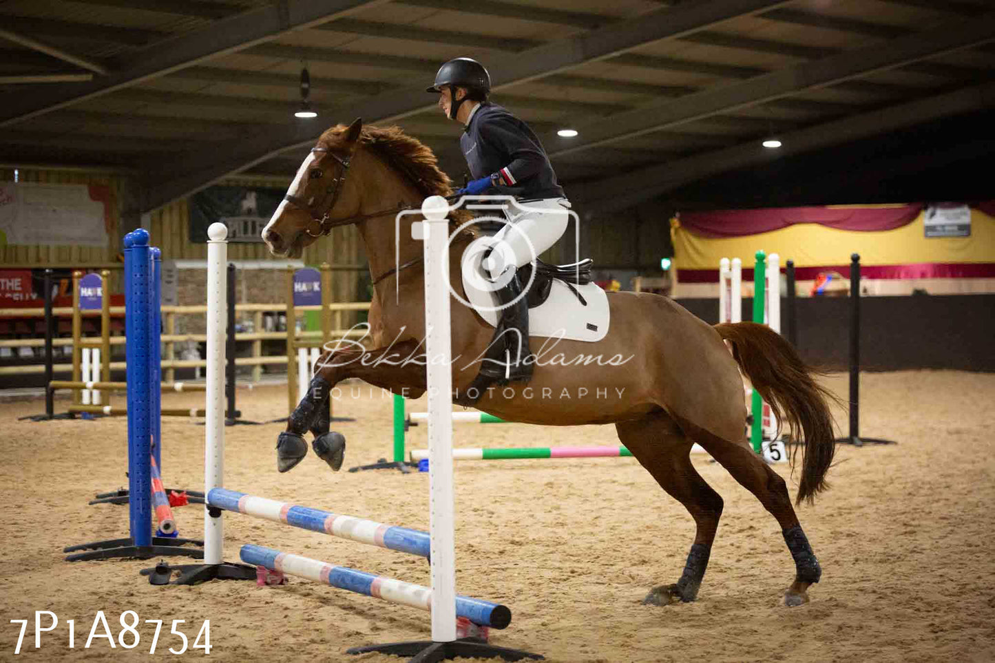 Home Farm Jumping 14th January 2024 - Seniors