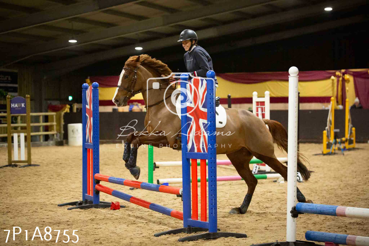 Home Farm Jumping 14th January 2024 - Seniors
