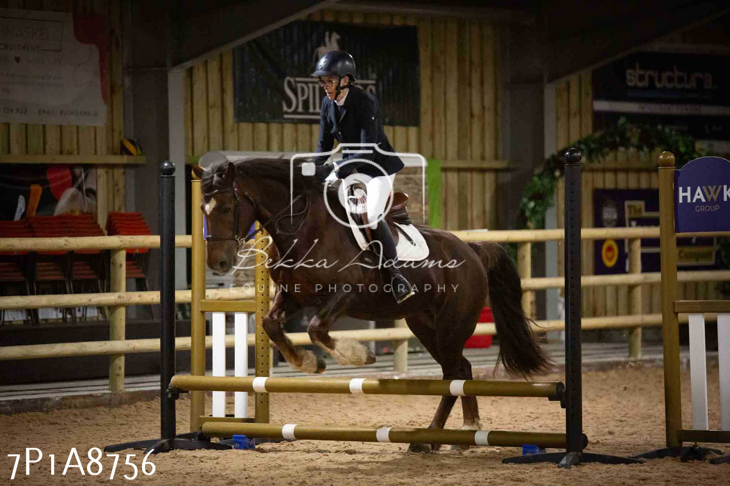 Home Farm Jumping 14th January 2024 - Seniors