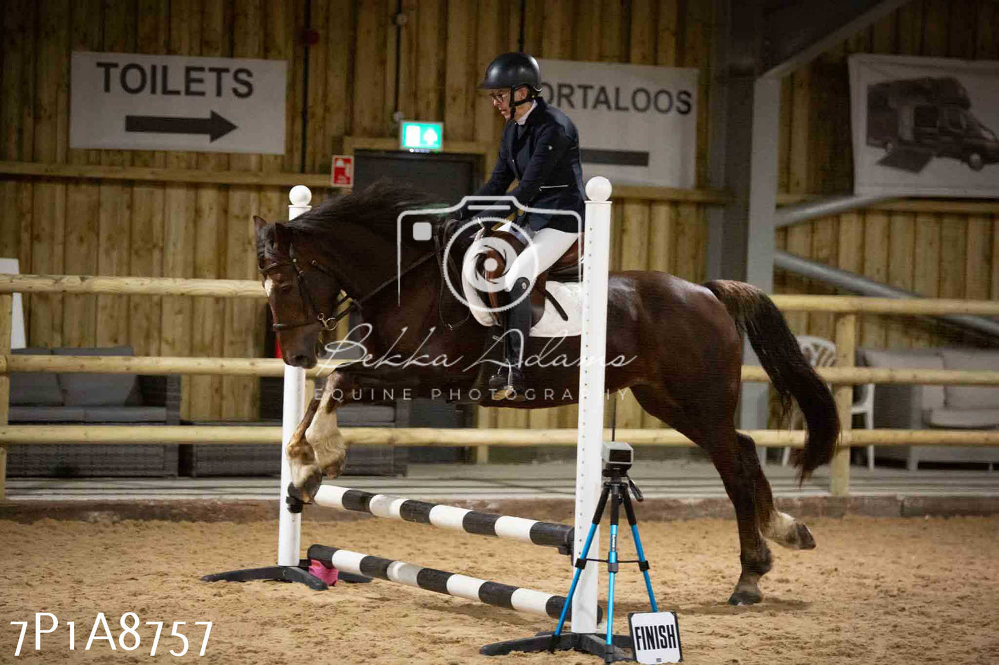 Home Farm Jumping 14th January 2024 - Seniors