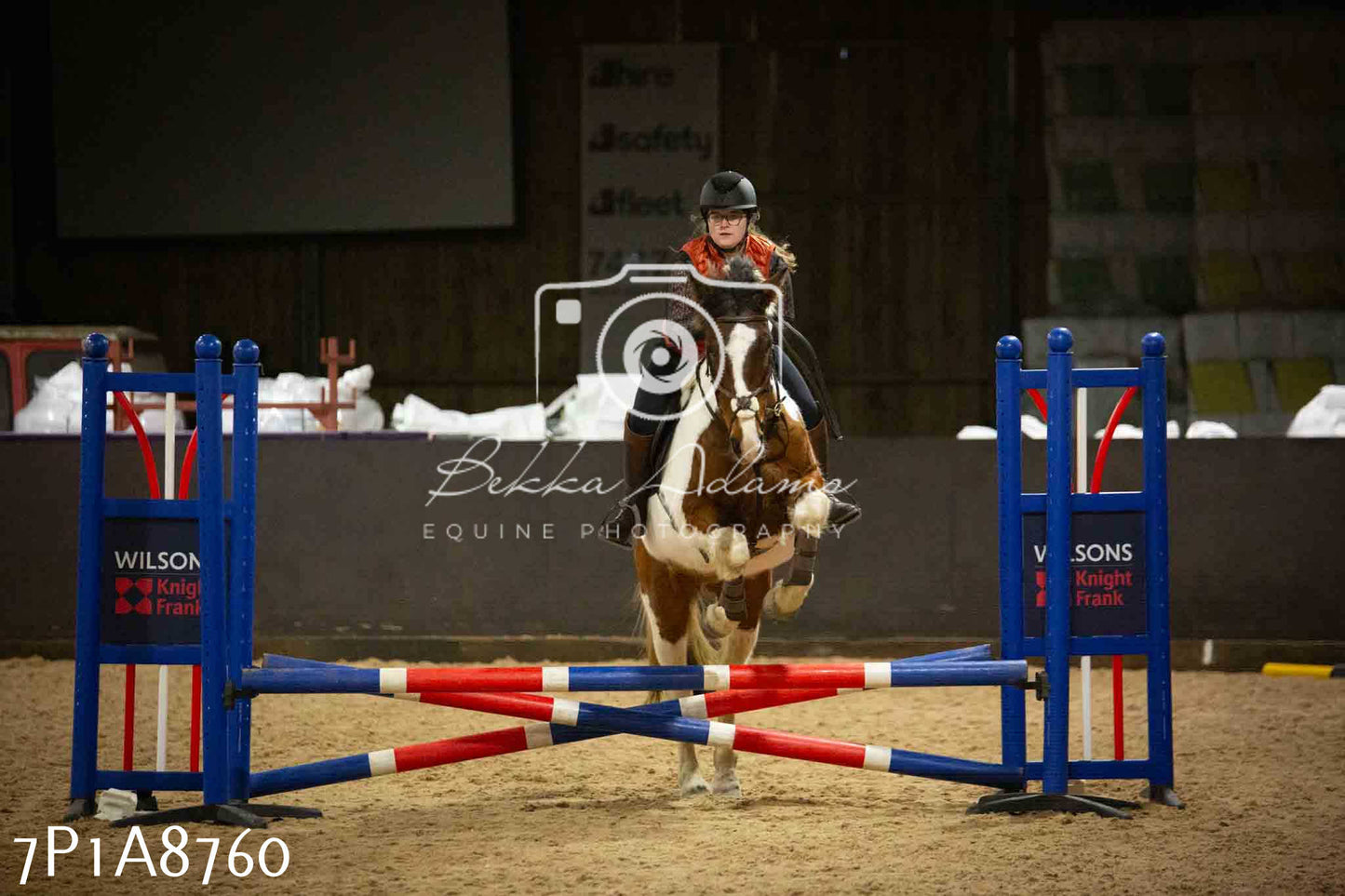 Home Farm Jumping 14th January 2024 - Seniors