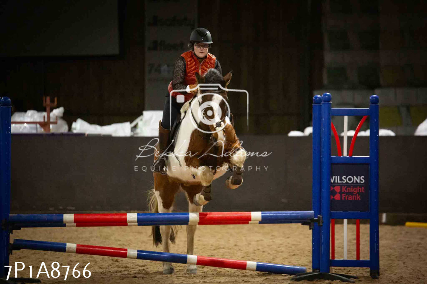 Home Farm Jumping 14th January 2024 - Seniors