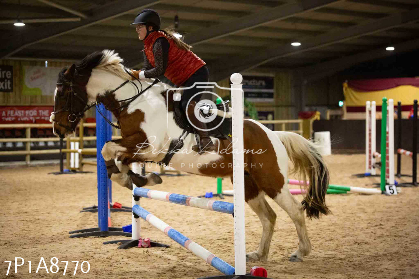 Home Farm Jumping 14th January 2024 - Seniors