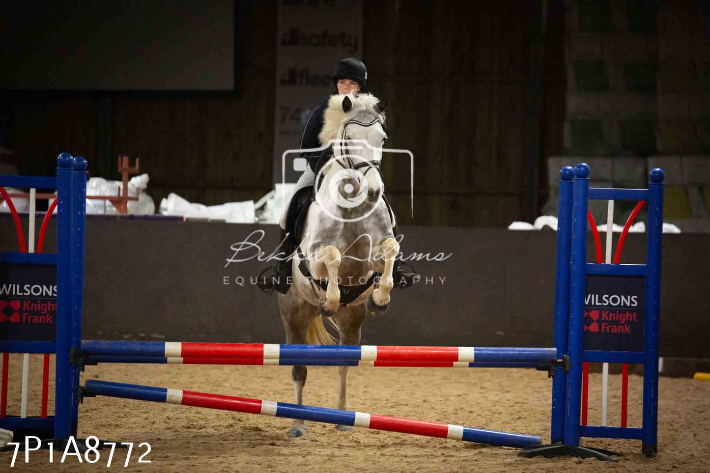 Home Farm Jumping 14th January 2024 - Seniors