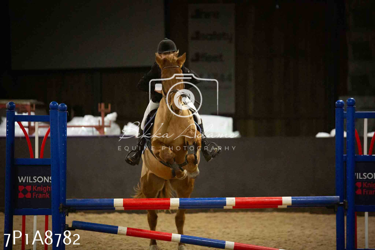 Home Farm Jumping 14th January 2024 - Seniors