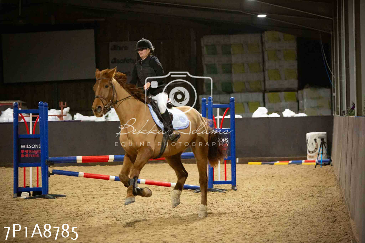 Home Farm Jumping 14th January 2024 - Seniors