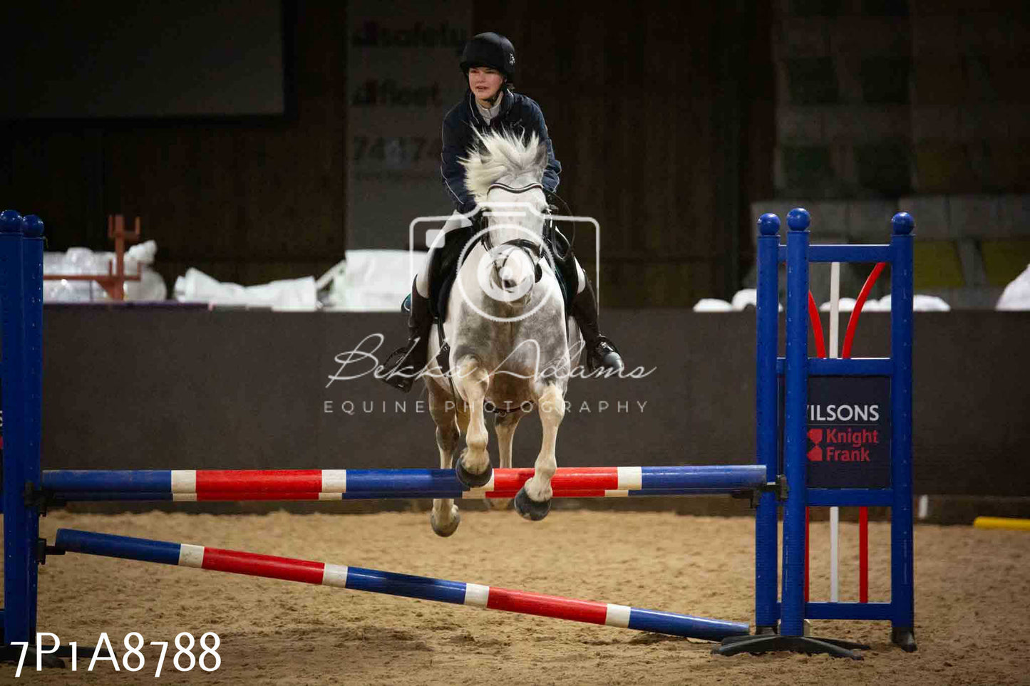 Home Farm Jumping 14th January 2024 - Seniors