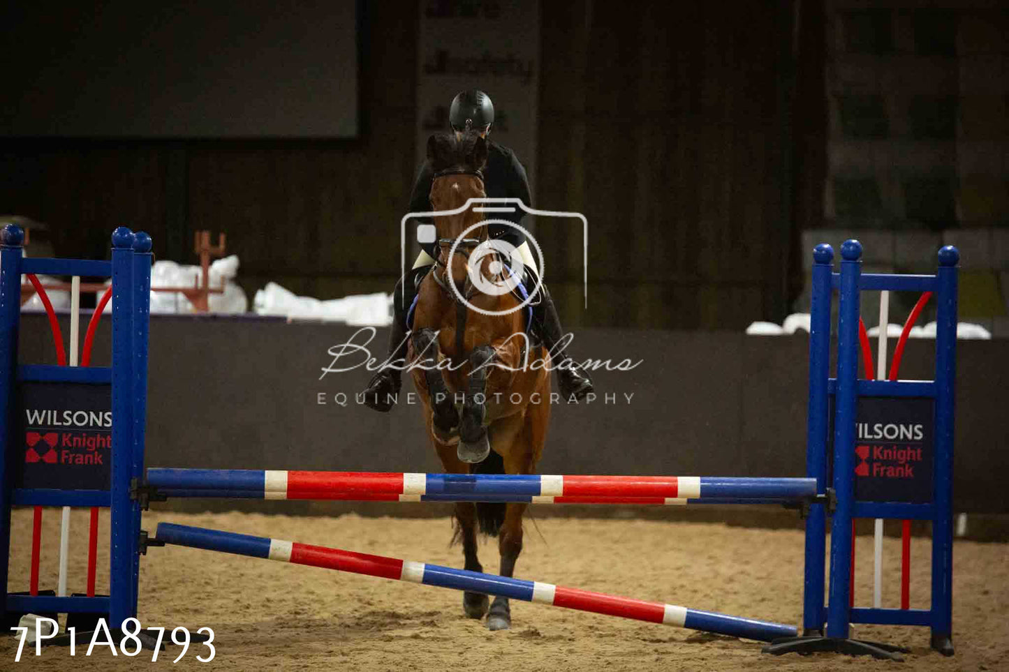 Home Farm Jumping 14th January 2024 - Seniors