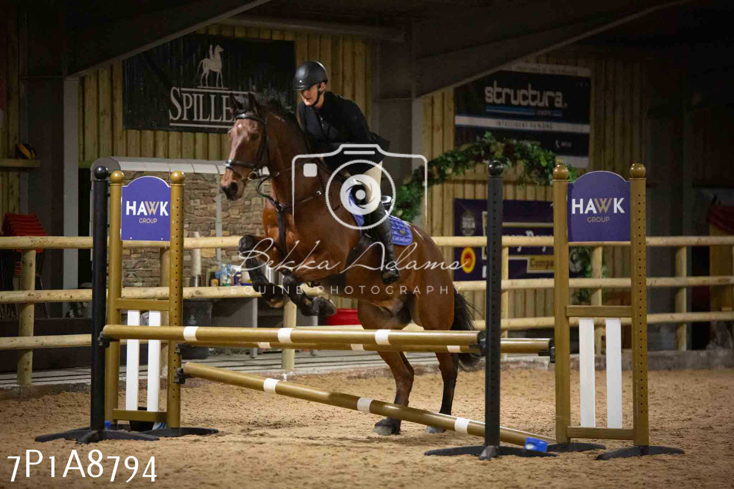 Home Farm Jumping 14th January 2024 - Seniors