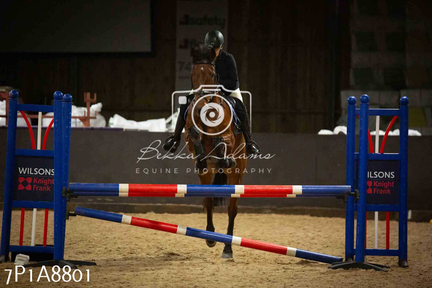 Home Farm Jumping 14th January 2024 - Seniors