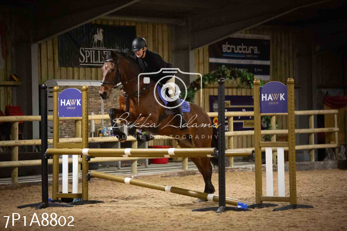 Home Farm Jumping 14th January 2024 - Seniors