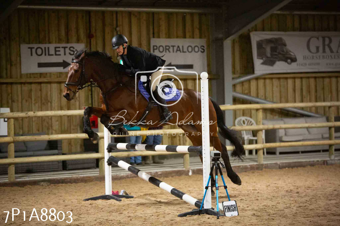Home Farm Jumping 14th January 2024 - Seniors