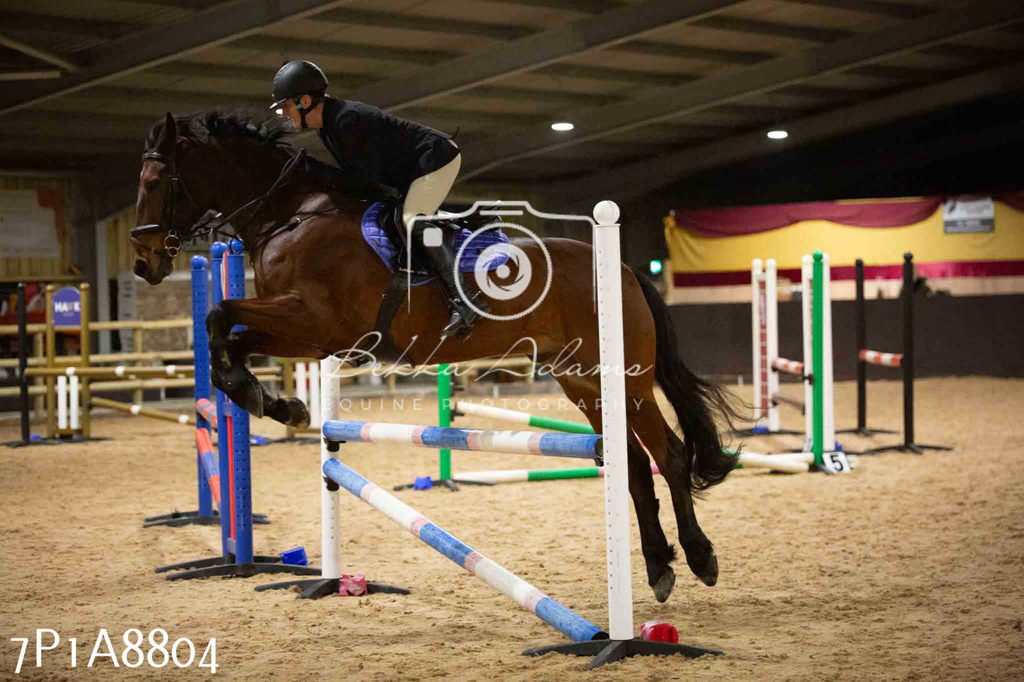 Home Farm Jumping 14th January 2024 - Seniors