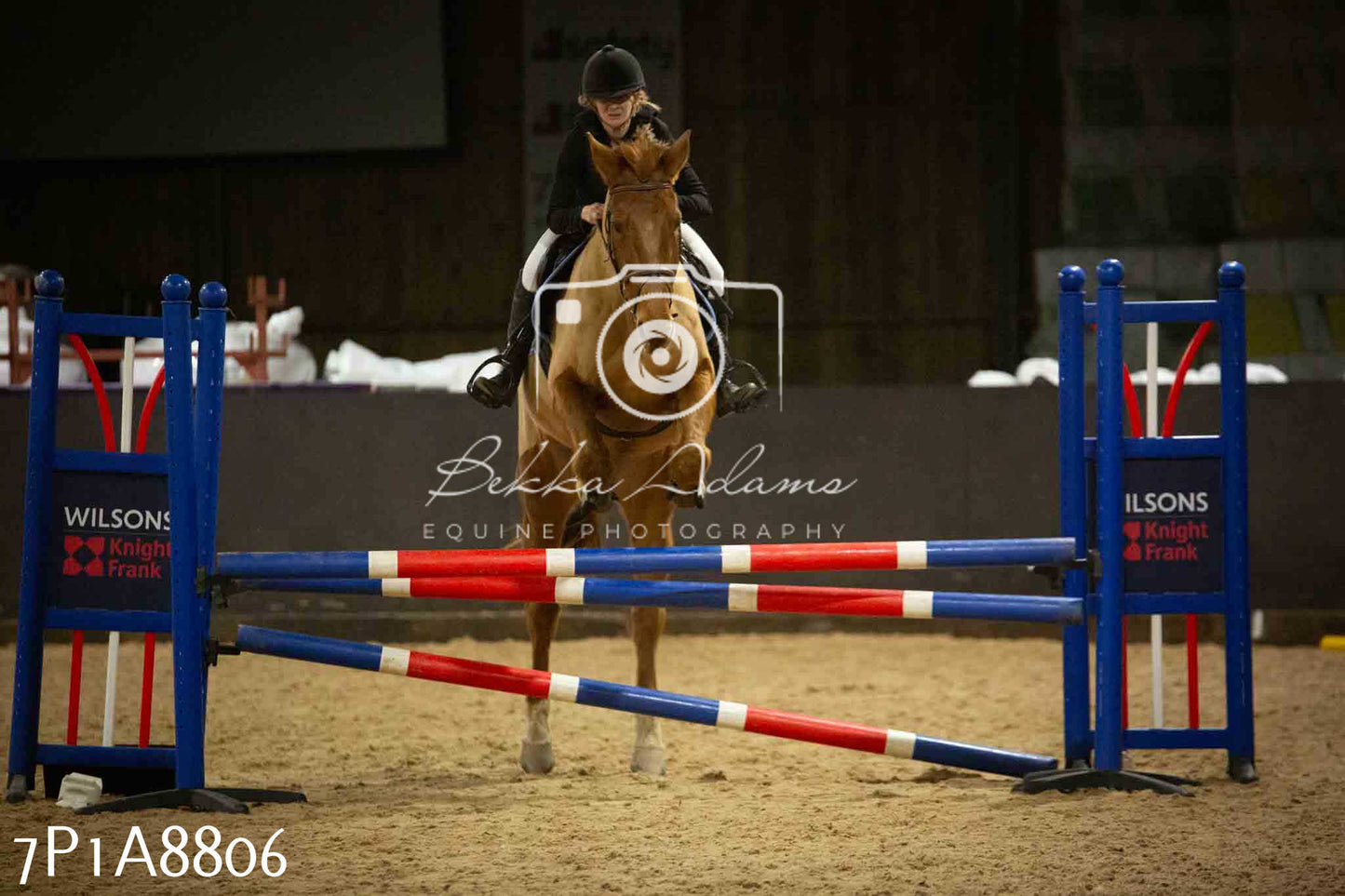 Home Farm Jumping 14th January 2024 - Seniors