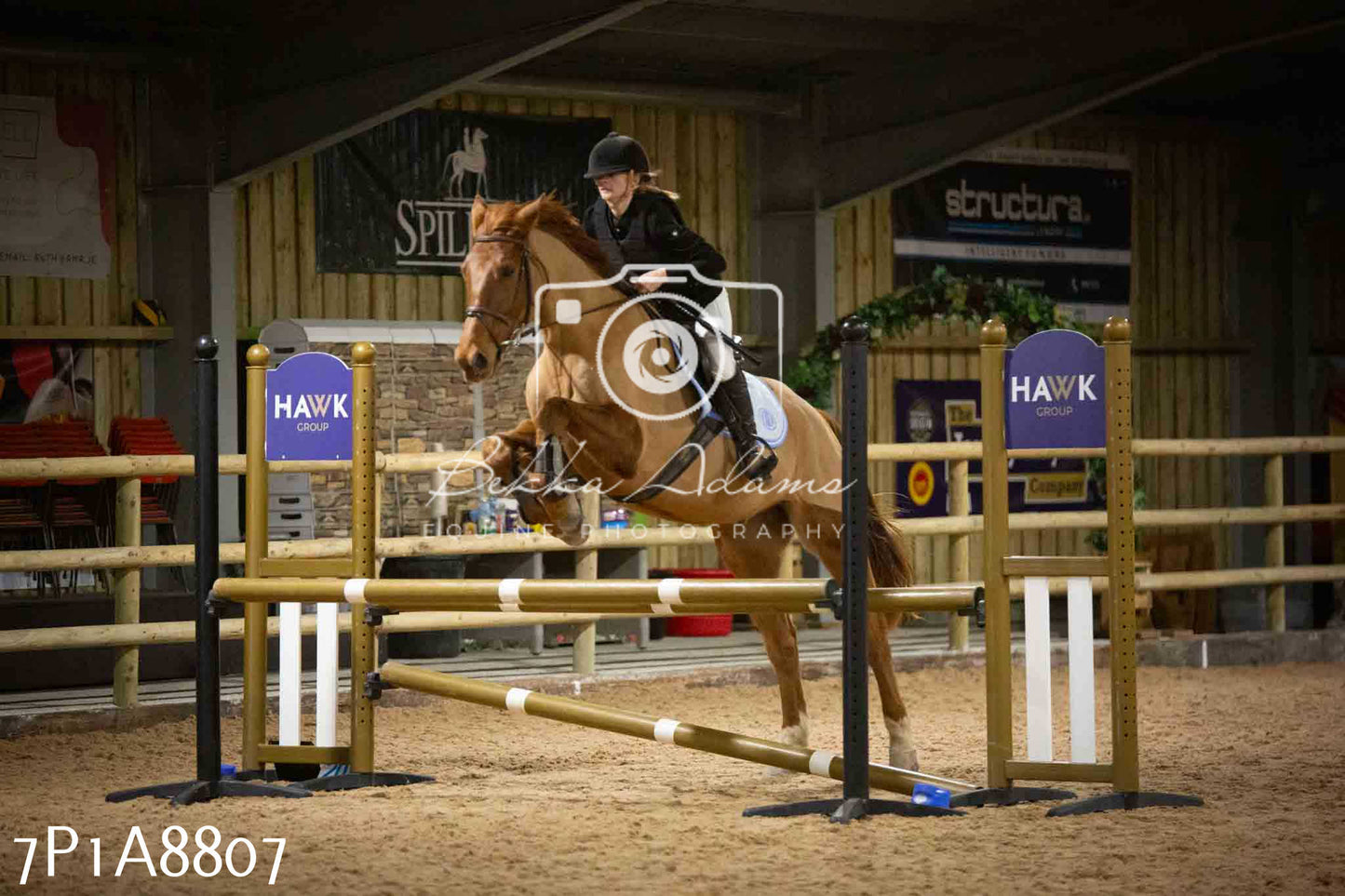 Home Farm Jumping 14th January 2024 - Seniors